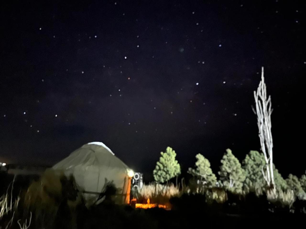 Agat Yurt Camp Bed & Breakfast Kaji-Say Exterior photo